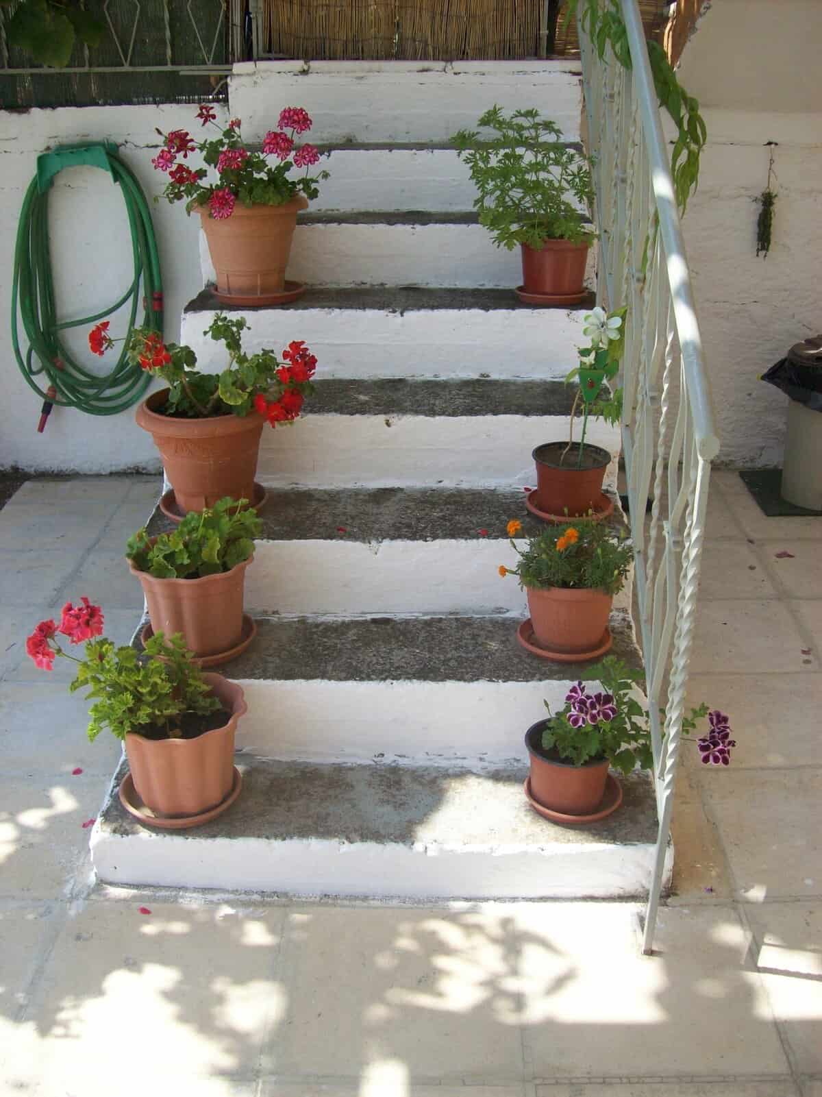 Grekisk trappa